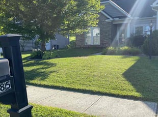 Jeffrey S.'s grass maintenance service result