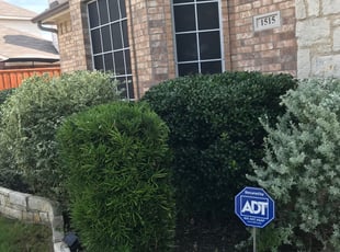 Joyce H.'s Bush Trimming service result
