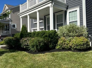 Jordan B.'s Mulching service result