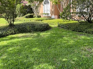 Lisa W.'s Bush Trimming service result