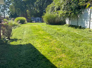 Isaiah G.'s grass maintenance service result