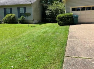 Andrew L.'s grass maintenance service result