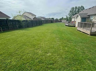 Ana o.'s grass maintenance service result