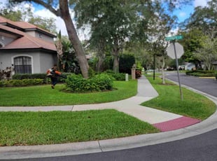 Kellen C.'s turf care service result