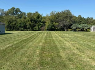 Crystal A.'s grass cutting service result