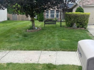 Larry S.'s lawn service service result