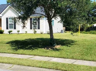 Charlene H.'s lawn care service result