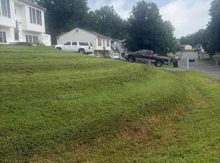 Sandra W.'s turf maintenance service result