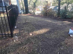 Kaila C.'s Leaf Removal service result