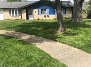 Betty D.'s turf care service result