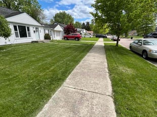 Giovany C.'s turf care service result