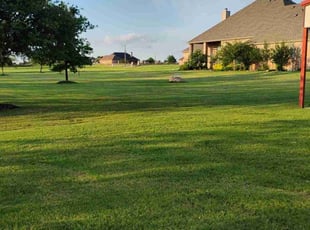 Donna T.'s turf maintenance service result