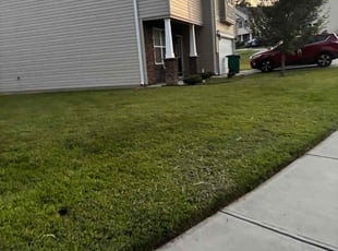 Janifer B.'s lawn care services service result