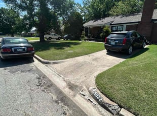Danitra G.'s turf care service result