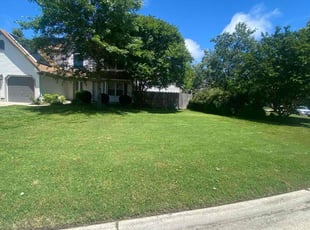 Jordan M.'s yard service service result