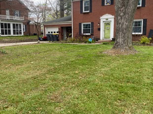 Stayce D.'s lawn care services service result