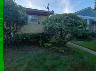 Silvanna S.'s Bush Trimming service result