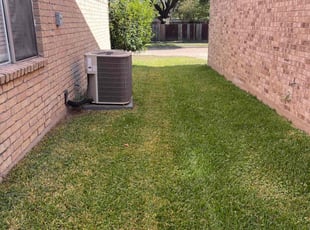 Amber G.'s turf care service result