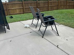 Saed A.'s turf care service result