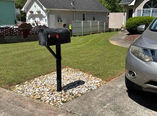 chris F.'s grass maintenance service result