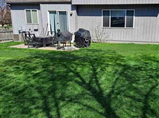 Alex K.'s grass maintenance service result