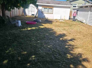 Dawn B.'s grass cutting service result