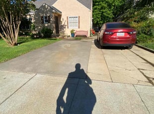 Lucille W.'s grass maintenance service result