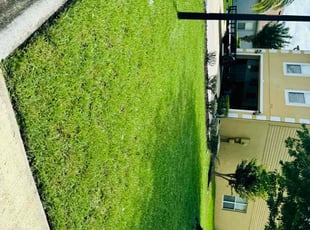 Lexie W.'s grass maintenance service result