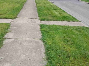Abin P.'s grass cutting service result