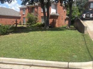 Antuan M.'s turf care service result