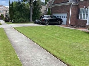 Stephen B.'s lawn care services service result