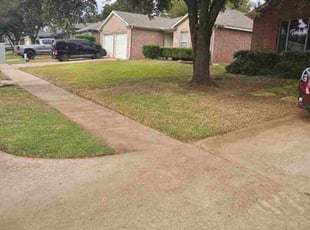 Andrew H.'s turf care service result