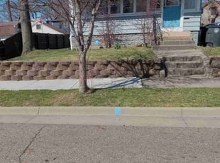 Hailey W.'s lawn care service result