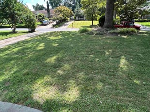 Tyrice K.'s turf care service result