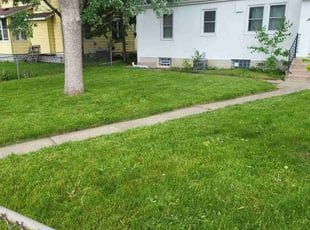 Jason M.'s lawn care services service result