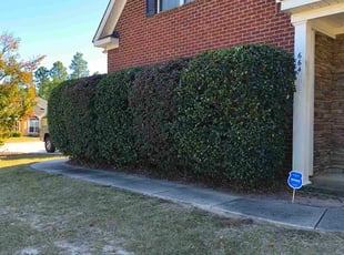 Donald H.'s Bush Trimming service result