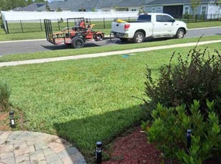 Selenia S.'s lawn care services service result