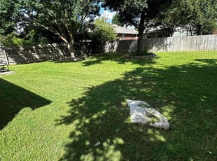 Aleighsha B.'s grass maintenance service result