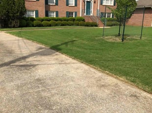 Michael C.'s lawn care service result
