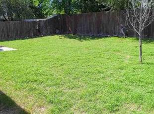 Ginger A.'s lawn care service result