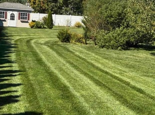 Christopher R.'s Weeding service result