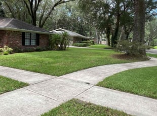 Yvonne C.'s lawn service service result