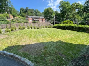 Mike B.'s turf care service result