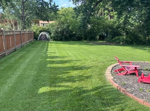 Joseph K.'s turf maintenance service result