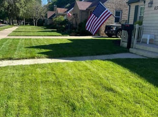 Daniel R.'s lawn service service result