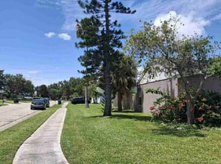Thomas G.'s turf maintenance service result