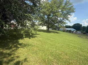 Kyle L.'s grass cutting service result