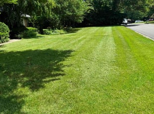 Kim V.'s turf maintenance service result