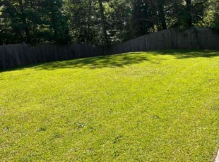 Donna R.'s turf maintenance service result