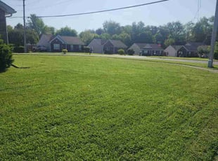 Gary G.'s grass maintenance service result